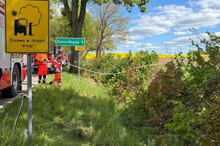 Śmiertelny wypadek pod Olsztynem. 39-latek zignorował znak stop? [ZDJĘCIA].