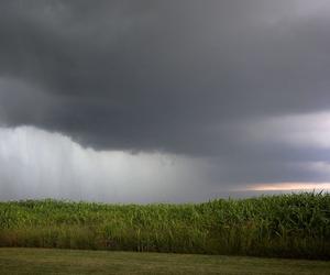 Załamanie pogody na horyzoncie. Temperatury spadną o kilka stopni!