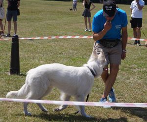 Psia radość i ludzkie serca. Myślęcinek pełen dobrych ludzi i ich czworonogów
