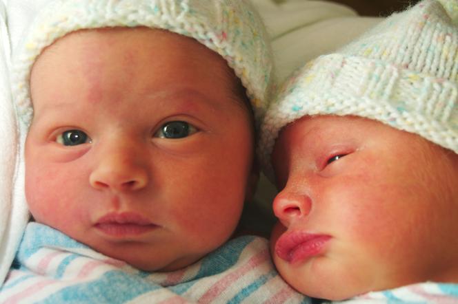 bliźnięta noworodki 