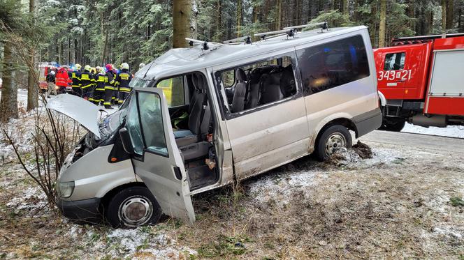 Potworny wypadek pod Krynicą-Zdrój! Nie żyje 32-latek ze Słowacji. Bus z 4 osobami rozbił się o drzewo [ZDJĘCIA]