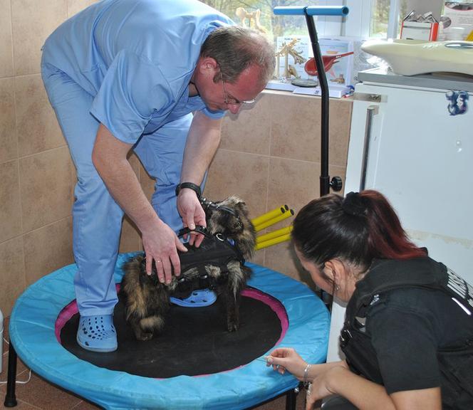 JENOT UCZY SIĘ CHODZIĆ.