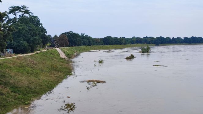 Fala powodziowa we Wrocławiu. Pod wodą są już beach bary i drogi 