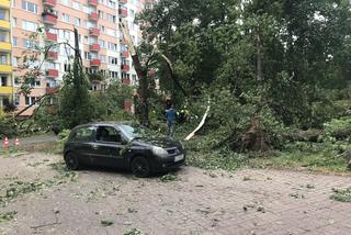 Jedną z dzielnic, któa ucierpiała najbardziej był Czechów Południowy