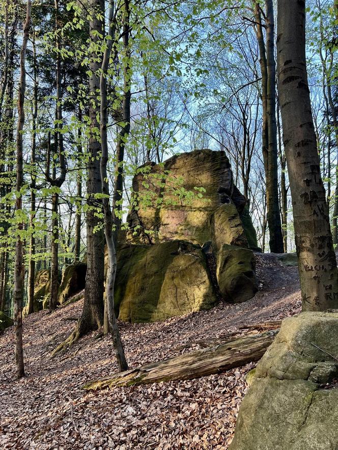 Świętokrzyskie. Bukowa Góra