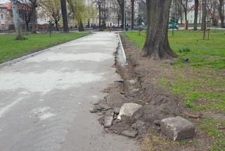 Zmiany w Parku Kościuszki w Lesznie