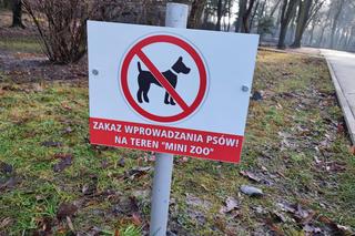 Wandale zniszczyli tabliczki w minizoo w Sosnowcu. Sprawą ma zająć się miasto