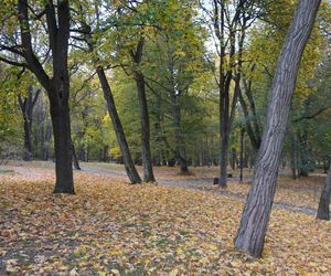 Park Lubomirskich w Białymstoku jesienią 