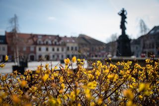 Myślenice znów zmienią logo? Rusza głosowanie