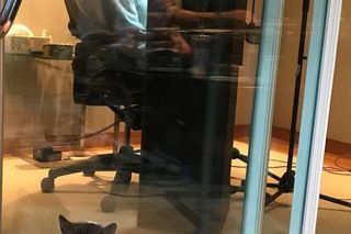 Oscary, wzloty i dramaty. Julie Andrews skończyła 90 lat