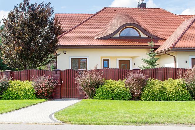 Rośliny na żywopłoty