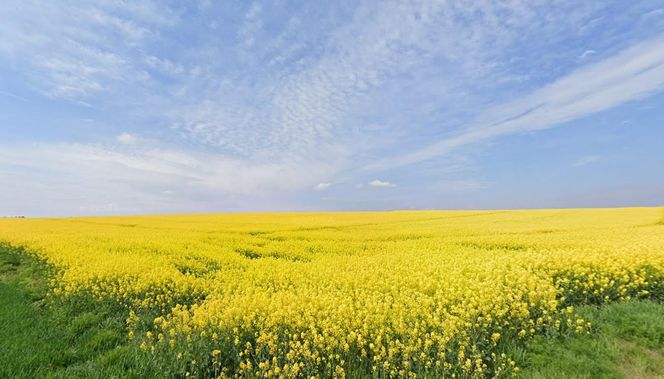 To najmniejsza wieś w Polsce. Ma zaledwie 30 hektarów i tylko kilku mieszkańców