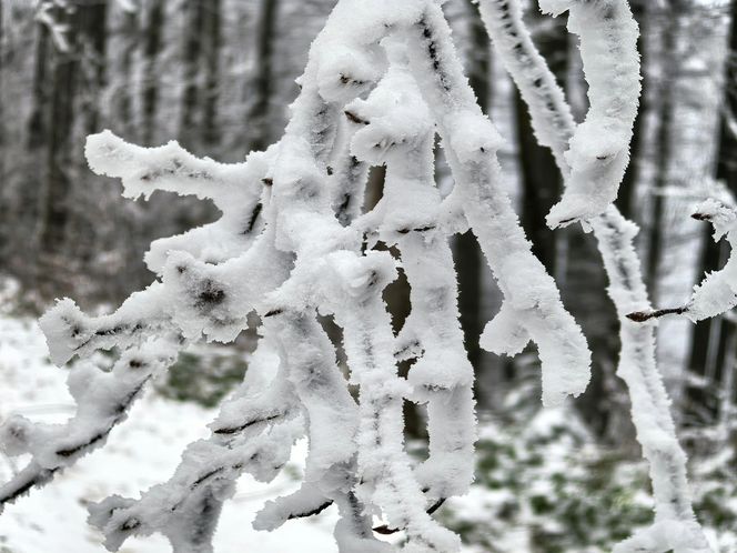 Pierwszy śnieg w Bieszczadach