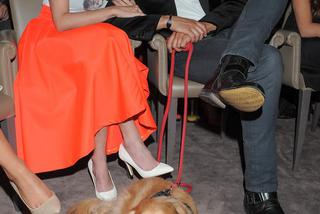 Agnieszka Włodarczyk i pieski