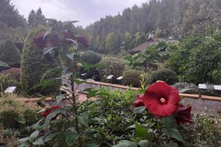 Arboretum Bolestraszyce