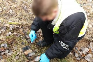 Zabrze: W biskupickim lesie znaleziono zwłoki mężczyzny! To najprawdopodobniej zaginiony Andrzej R.