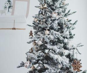 Świąteczne choinki w bieli