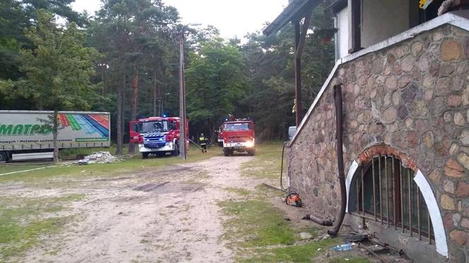 Dramat w Łódzkiem: Koń spłonął żywcem w ogromnym pożarze ośrodka wypoczynkowego!