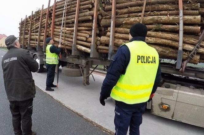 Wzmożone akcje na Opolu. Ciężarówki z nadmiarem drewna przyłapane przez Inspekcję Transportu Drogowego