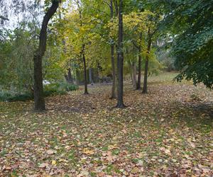 Park Sołacki w Poznaniu jesienią