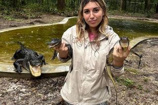 Floryda pod wodą. Mieszkańcy muszą uważać na aligatory