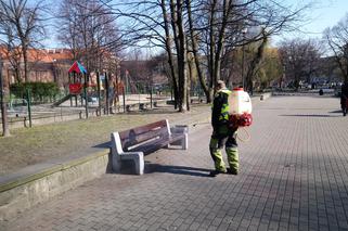 Katowice walczą ze skutkami epidemii koronawirusa 