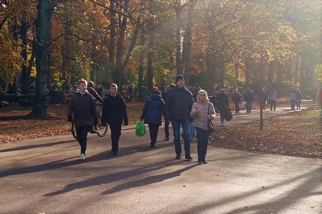1 listopada na Cmentarzu Centralnym w Szczecinie