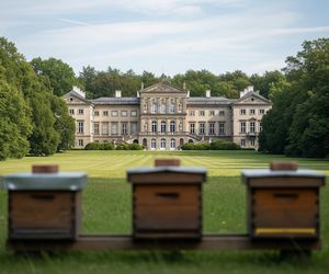 Ule wracają do Pałacu Lipskich w Lewkowie. Czy to początek słodkiej rewolucji?