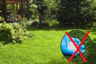 Kiedy nie nawozić trawnika? Czy nawożenie może zaszkodzić trawie?
