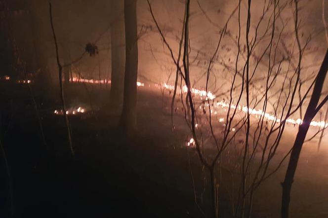 Pożary traw w regionie koszalińskim