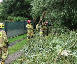 Ulewy i burze w Małopolsce. Ponad 600 interwencji straży pożarnej 