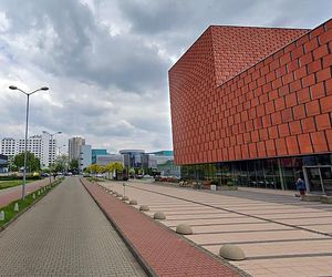 Powstanie największa uczelnia w Polsce na Śląsku? Sensacyjny pomysł konkurencją dla Krakowa i Warszawy