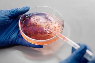 New Delhi - bakteria odporna na antybiotyki zbiera śmiertelne żniwo. Jakie daje objawy?
