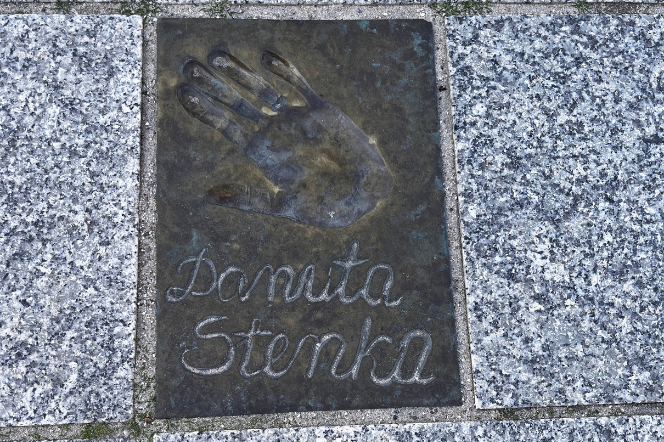 Danuta Stenka