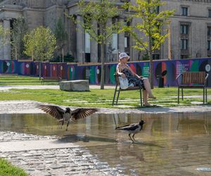Plac Centralny w Warszawie