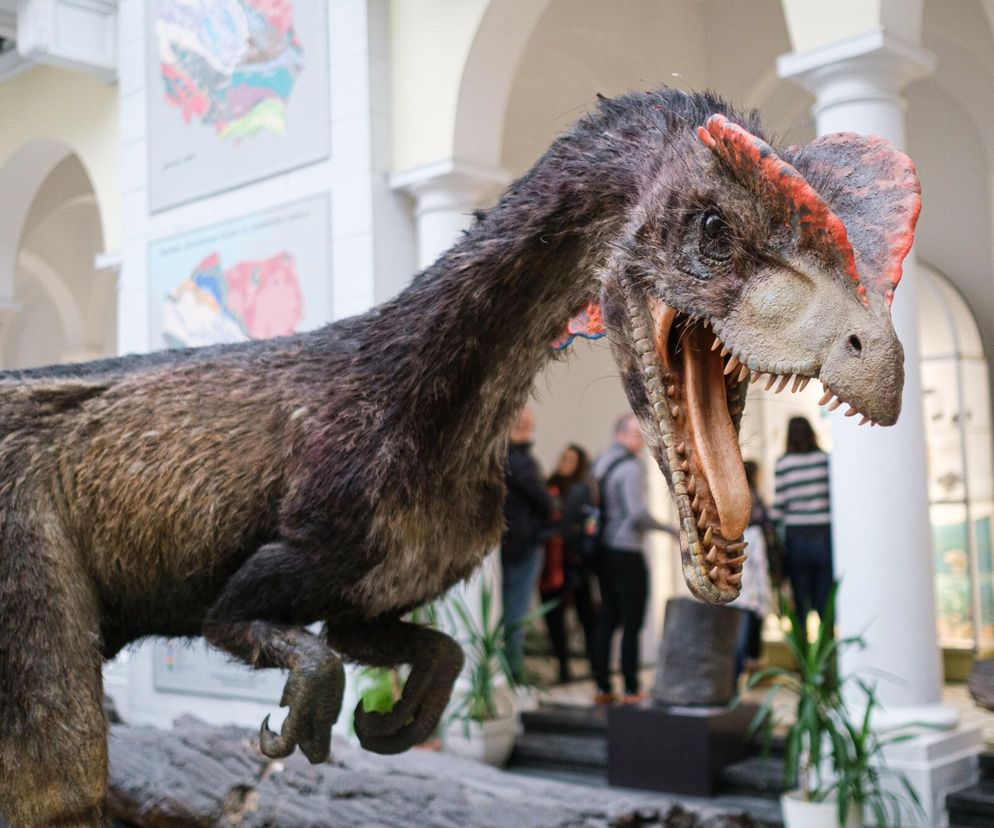 W tym warszawskim muzeum zrobisz sobie selfie z dinozaurem. Wstęp nic nie kosztuje! 