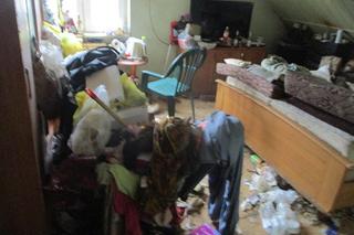 Dramatyczna interwencja służb. „Zwierzęta były przetrzymywane w brudzie”. Nie miały nawet wody czy karmy