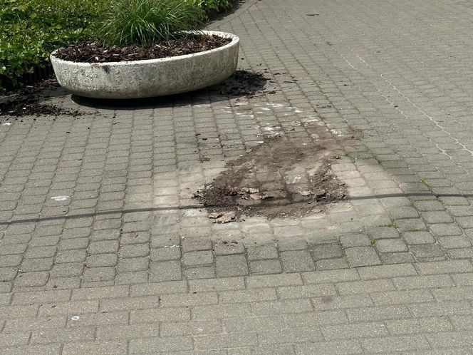 Auto wjechało w budynek sądu w Warszawie. Kierowca z impetem wyłamał szlaban i wjechał na zamknięty teren