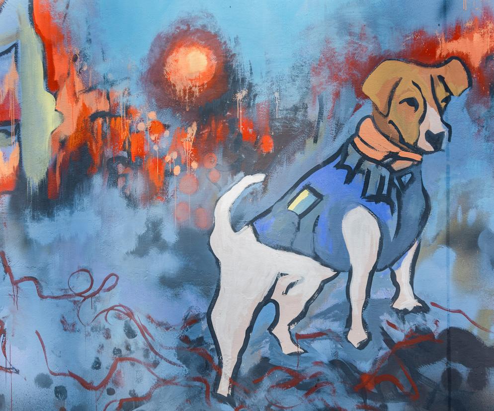 Pies Patron, Bracia Kliczko oraz Putina: Antywojenne murale przy linii PKM robią furorę! [ZDJĘCIA]