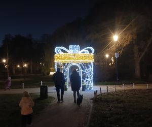 Iluminacje świetlne 2024 Gdańsk