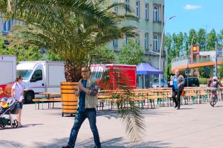 Święto Miasta Chorzów 2023 ZDJĘCIA