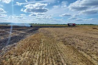 Lubelskie: Kolejny pożar ścierniska. Tym razem z dymem poszło 5 ha