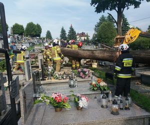 Burze na Podkarpaciu. Strażacy wyjeżdżali ponad 50 razy. Najgorzej było w dwóch powiatach
