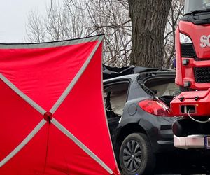 Poważny wypadek pod Warszawą. Malutki peugeot uderzył w drzewo. Nie żyją dwie osoby