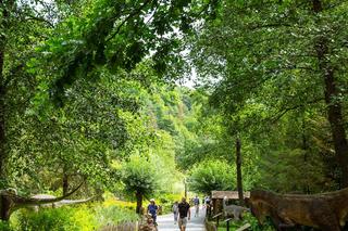 Atrakcje Bałtowskiego Kompleksu Turystycznego. Co warto zobaczyć w czasie wakacji?