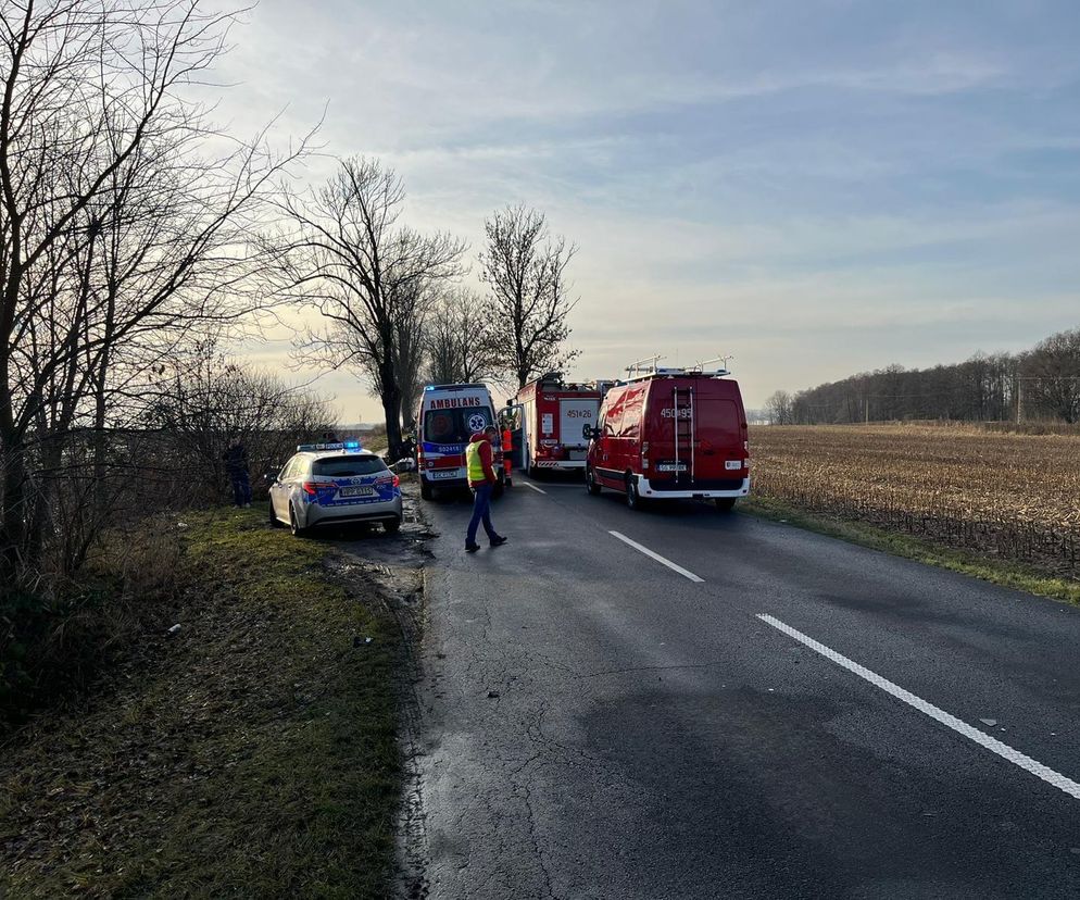 Potworny wypadek na pograniczu Gliwic i Żernicy. Nie żyją trzy osoby