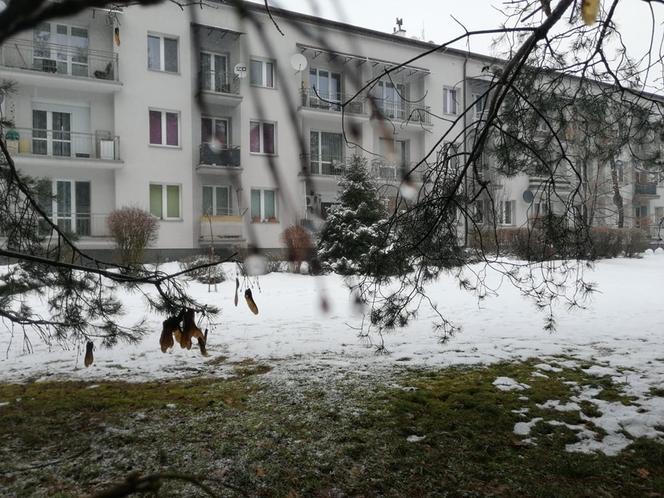 Trzebinia. W ciągu ostatniego półtora roku powstało tu około 25 zapadlisk. To oficjalne dane, bo mieszkańcy mówią nawet o dwukrotnej liczbie