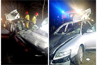 Groźny wypadek w Szymankach. Auto roztrzaskało się po zderzeniu z łosiem [ZDJĘCIA]