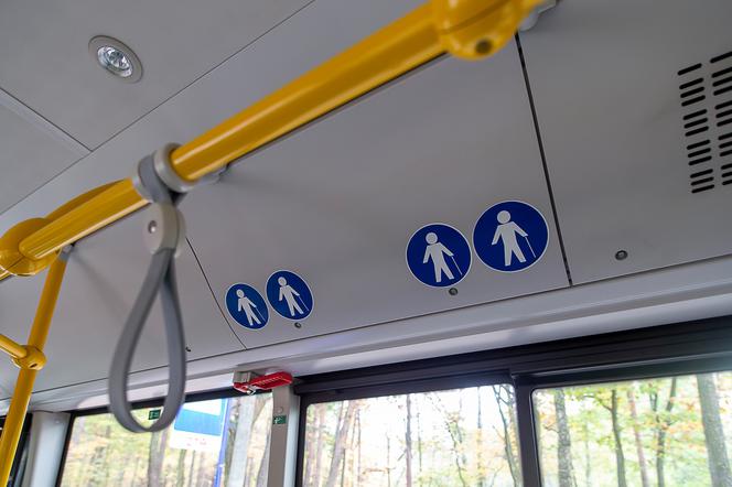 Autobus