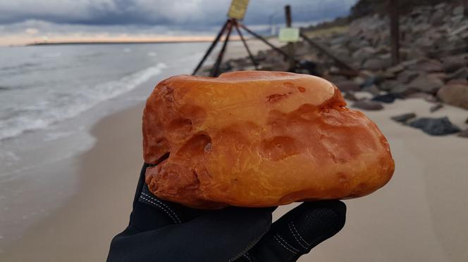 Ogromny bursztyn znaleziony na plaży w Kołobrzegu. Wiemy co się z nim teraz stanie [ZDJĘCIA]